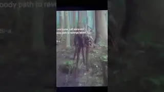 Kingdom-Zombie Deer vs Tiger