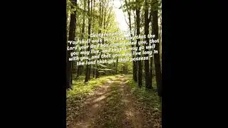 Choose His Way and live long. #path#commandments#motivation #bible#life#God#jesus#christian#love