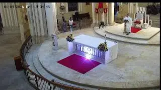Transmisión Eucaristía Basílica de Lourdes   20266
