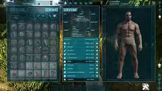 Live the ark