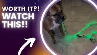 Review of Light up Dog Leash for Night Walking