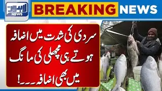 Fish Demand Increases as Cold Weather Intensifies | Breaking News | Lahore News