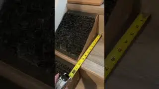 Stairwedge - Dog Ramp for Small Dogs - Versatile Stair Ramp for Any Staircase