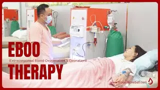 EBOO THERAPY - Ozone Therapy Bali, Canggu