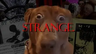 15 of the strangest music genres existing