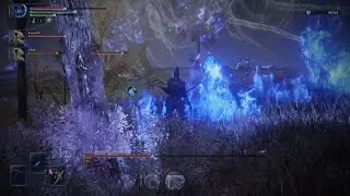 ELDEN RING Nightreign Who knew Artorias was a Rocky fan