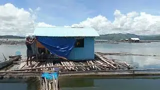 #part3 fish cage exploration#smallfishes #fish #fishermen