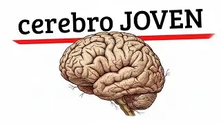 C&oacute;mo evitar que tu cerebro envejezca como el de la mayor&iacute;a