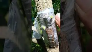 thành quả sau 30 ngày