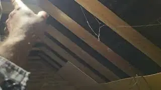 Loft conversion episode 3