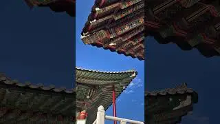 Blue sky, quiet roof. timeless. 💙 #kimdancheong #korea #gangeung #zen #heritage #design #travel