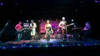 Jack A Roe (Grateful Dead) @Terrapin Grove, Brooksville, FL 5/24/2025 - The Rap Jacks