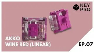 AKKO Switches Series EP.07 Akko Wine Red (Linear) | MERMER 🏖