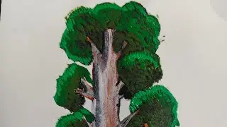 Practice here how to draw and paint realistic tree 🌳 