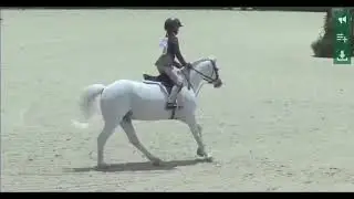 Among Us & Carsyn Korotkin Small pony hunters ESP Spring 3, 2022