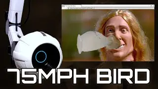 Syco's Funny Take on 75mph Bird to the Face with Adam Savage!