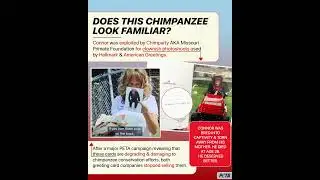 In E1 of Chimp Crazy, Tonia Haddix explains that Connor was a &ldquo;model&rdquo;, but he was actually a victim.