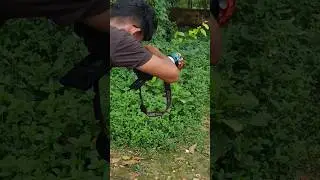 photoshoot #short #outdoors #photography #cameraman #viral #tending