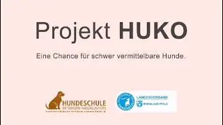 Projekt HuKo: Eine Chance f&uuml;r schwer vermittelbare Hunde