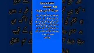 #shorts#motivational#hadees#islamic#best#islamic feed#quran#islam#deen#golden words Quran and Islam