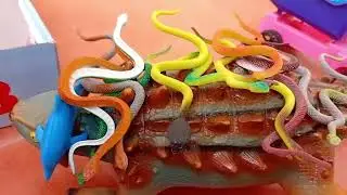Snakes on a Giant Dinosaur 😱 + Dolphins Together 🐬 | Unreal Animal Animation on razababy zoo