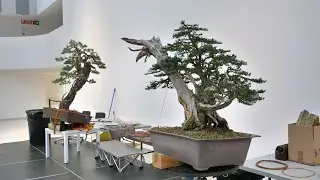 TAIGA URUSHIBATA - MANUEL GERMADE (TANTAI 2019)