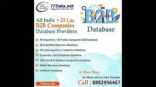 B2B Companies Database - 77 Data