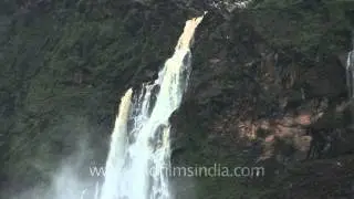 Jog Falls leaps spectacularly over a 253 meter vertical cliff!