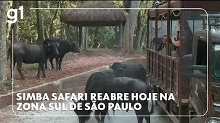 Simba Safari de S&atilde;o Paulo &eacute; reaberto hoje #g1