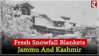 Fresh Snowfall Hits Jammu & Kashmir, Higher Reaches Covered as Temperatures Dip