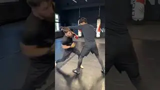 MMA Technique #mma #ringen #ufc