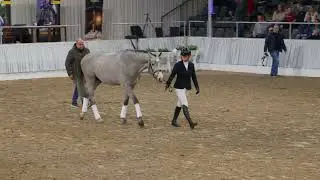 Acorezzo v. Arezzo VDL/Cornado       Stakkato-Preis 2026