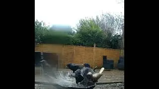 Bath time drama with the starlings 😂 #birdbath #starlingbird #birdsbathing #birdlife #gardenbirds