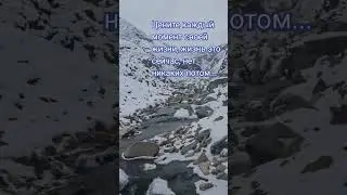 #жизньодна#жизнь#словасосмыслом#yakutia#youtubevideo#красотыприроды#soundofnature#миллионпросмотров