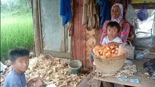 two small children accompany their grandmother to harvest corn in the fields
