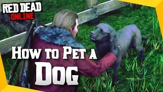 HOW TO PET A DOG: Dog Locations in Red Dead Online (Daily Challenges)