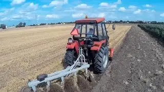 Ursus 3512 ㋡ Podorywka 2015