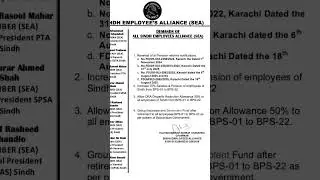 Sindh Employees Alliance (SEA) Demands & Deeds