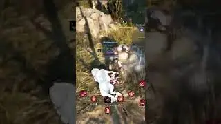Rip horsie, imagine if it was a fox 