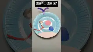 DIY Plate Craft 🤪#baby #toddler #toddlers  #play  #playtime  #kidshow #kidshobby