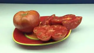 Tomato Review : Marianna's Peace Tomato. One Of The Best Beefsteak Varieties.
