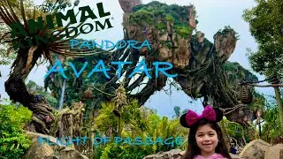 AVATAR PANDORA FLIGHT of PASSAGE Animal Kingdom Walt Disney World 3D Ride  like a Na&rsquo;Vi On a Banshee