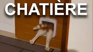 LA CHATI&Egrave;RE - PAROLE DE CHAT