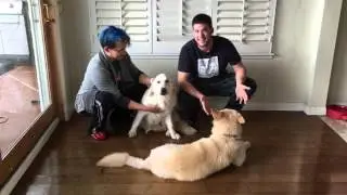 NEW PUPPY FRIEND!!