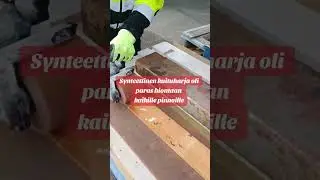 ToolGuy testaa SKIL 7800 renovator, remonttity&ouml;kalua Sarja-Maalaamon kanssa.