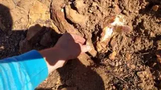 common opals in rhyolite