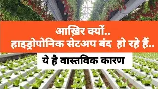 Why people are failing in hydroponic technology. लोग हाइड्रोपोनिक तकनीक में असफल क्यों हो रहे हैं..