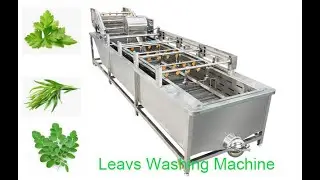 Industrial Moringa Leaves Washing Machine Morinage Leaf Processing
