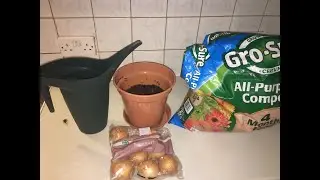 Waxaan Usoo Gashay Walaalihii Iga Soo Dalbaday Sida Basasha Loo Beero