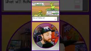 Chat Chose A Strange Name For This Shiny #pokemon #nuzlocke #shinylocke